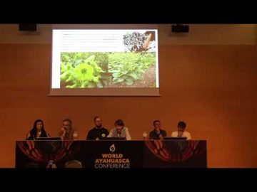 World Ayahuasca Conference 2019 -¿Ayahuasquero o Tabaquero ? Ivan Andres Turchetti